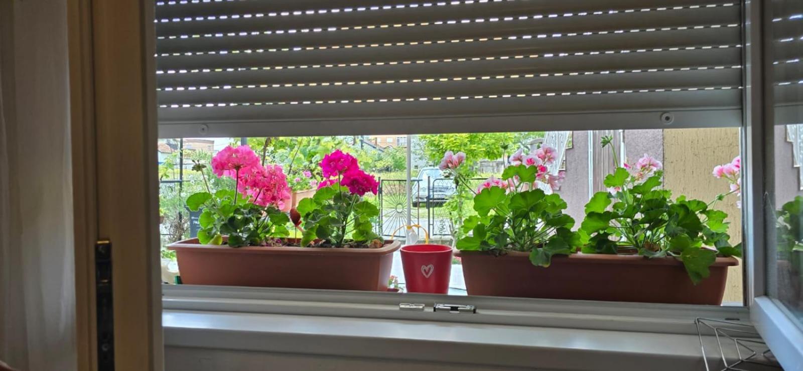 Apartman Tina 자그레브 외부 사진